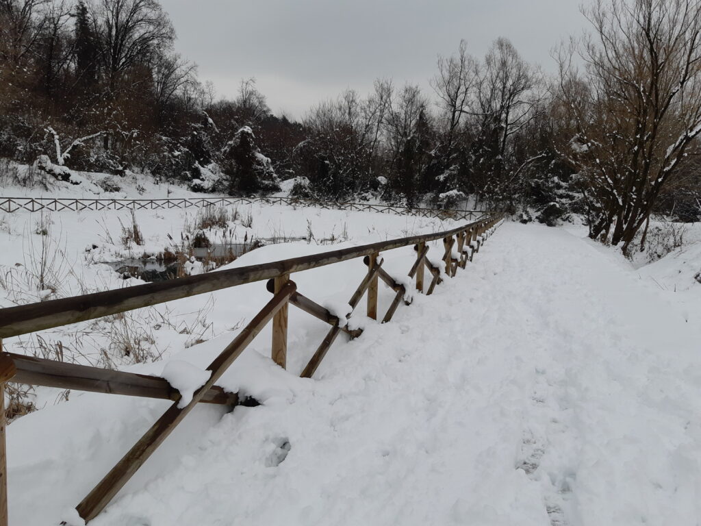 Foto con neve fitodepuratore