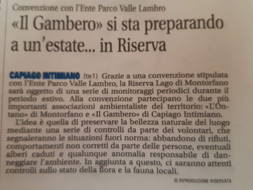 Articolo Giornale di Cantù