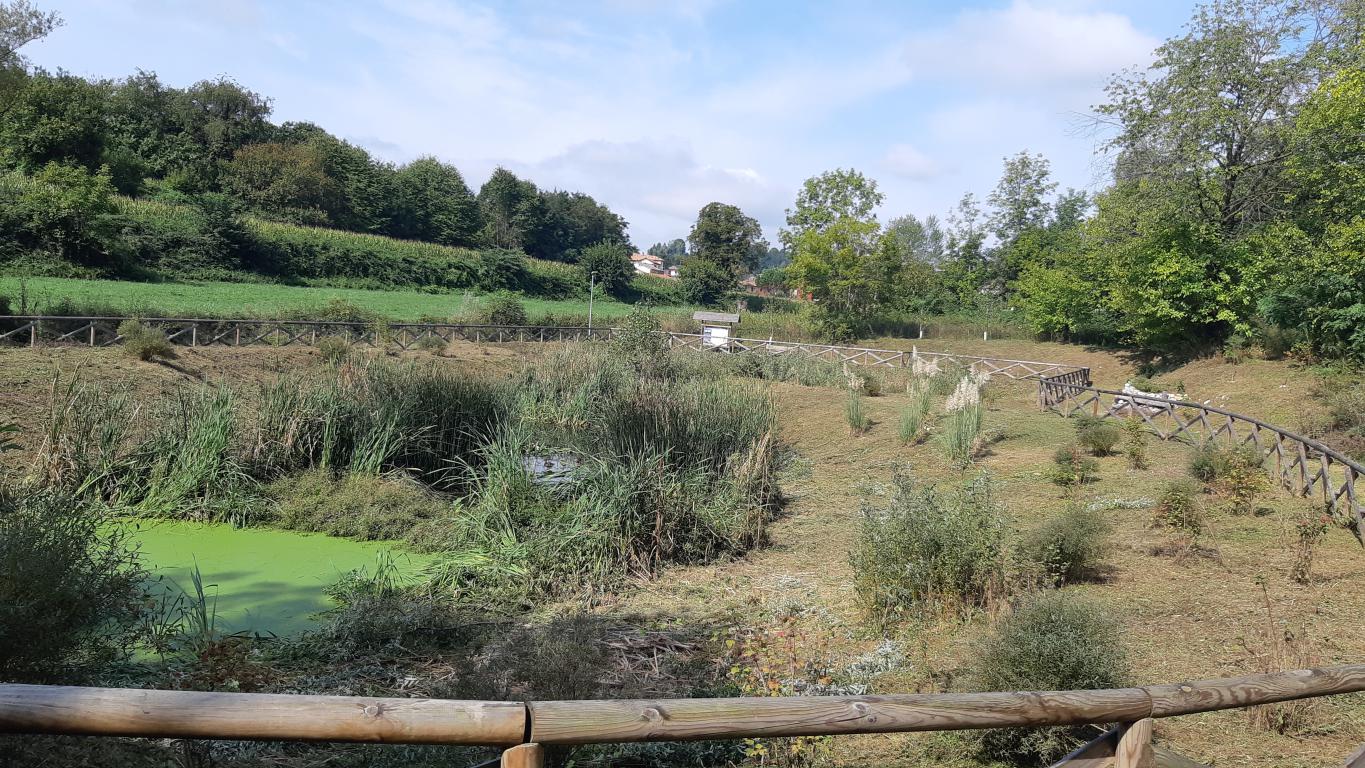 Report settembre-ottobre 2021