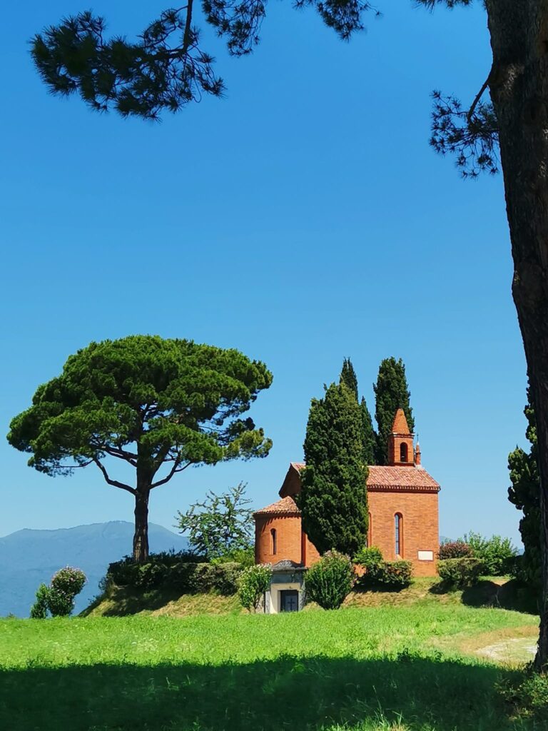 Domenica Insieme - resoconto