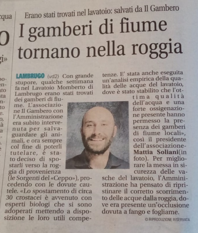 Il Gambero di Fiume