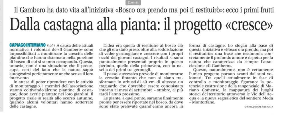 Dalla castagna alla pianta: l'iniziativa approda sul Giornale