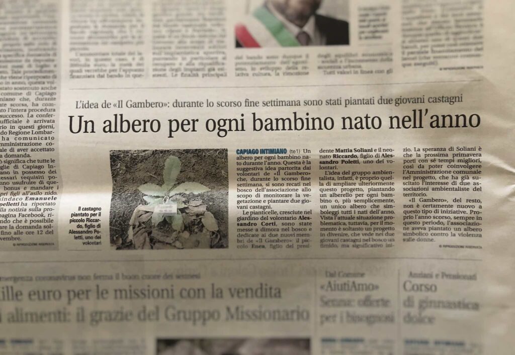 articolo giornale un albero per ogni bambino nato nell'anno