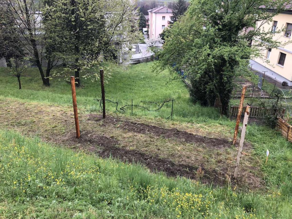 Installazione pali Vigna Leo completata