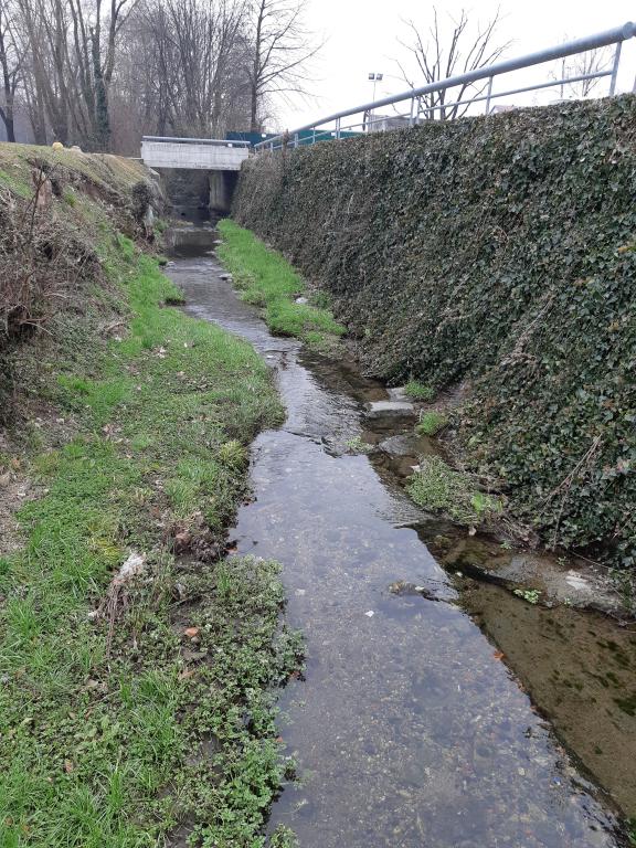 Torrente Serenza