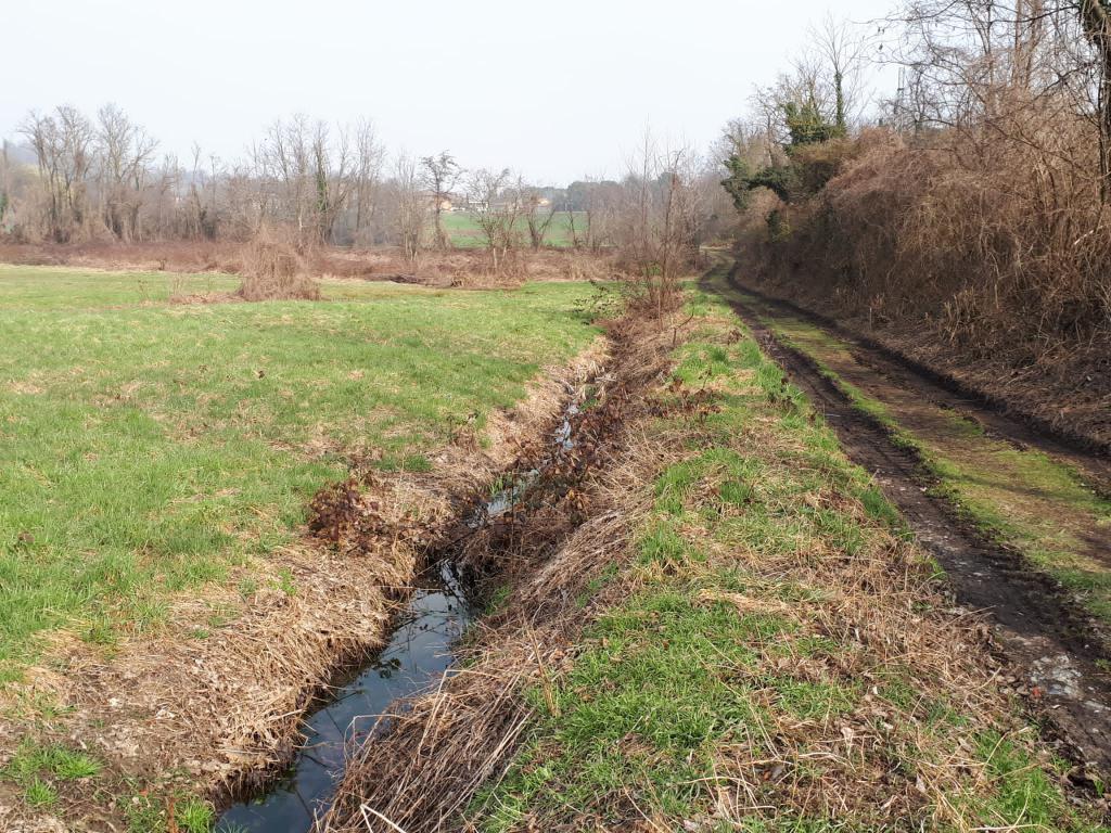 Foto del torrente