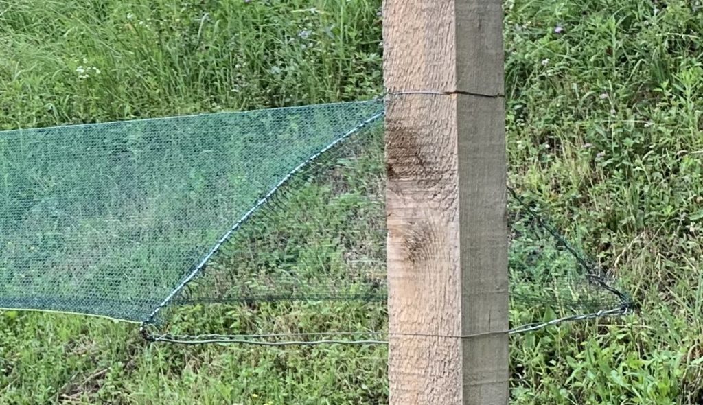 Vigna Leo anti grandine struttura triangolo