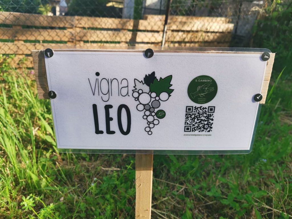 Nuovo cartellone plastificato per Vigna Leo