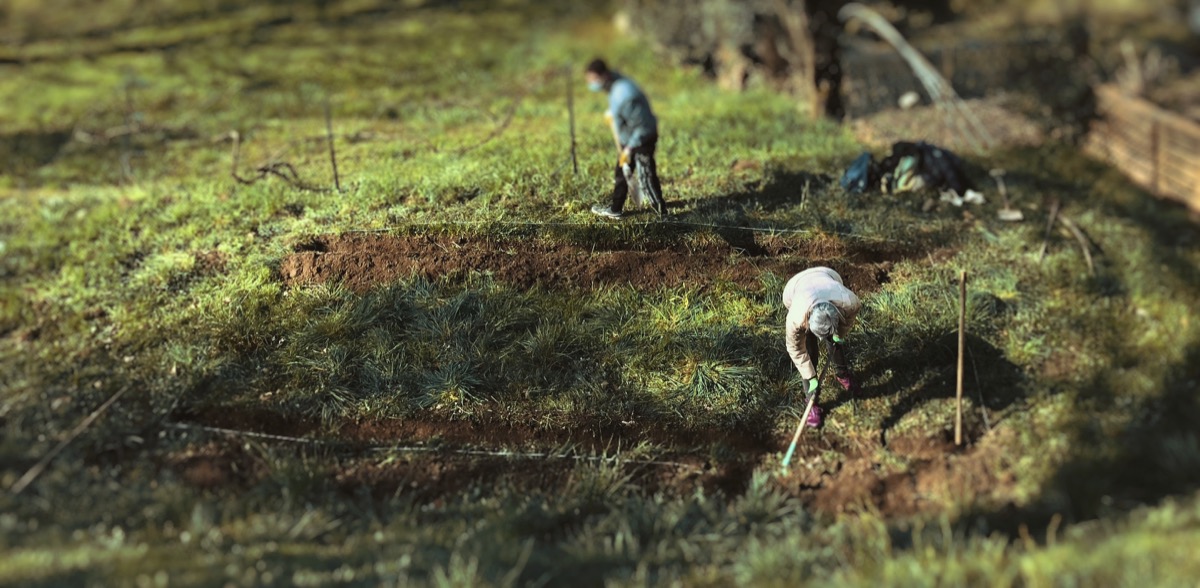 Vigna Leo: lavori in corso - preparazione del terreno