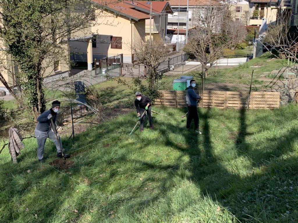 Vigna Leo: preparazione e lavorazione del terreno