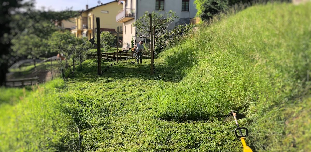 Vigna Leo: taglio prato e rivetta con decespugliatore