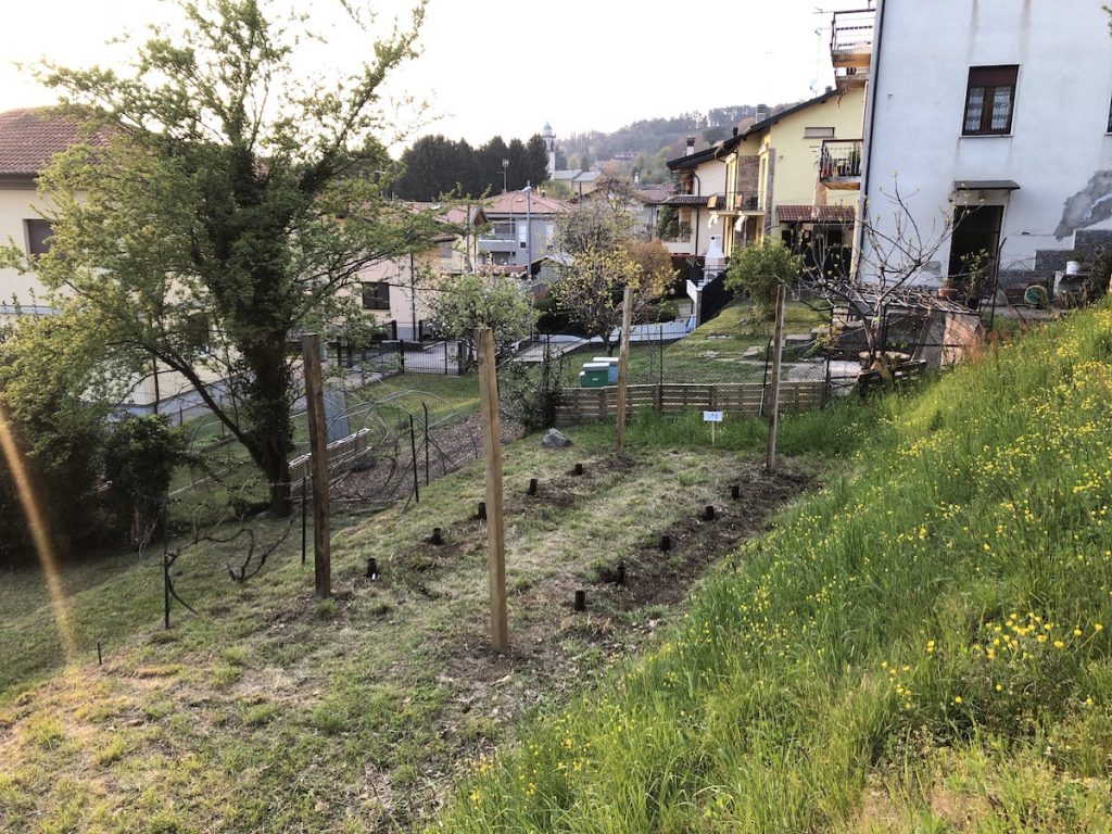 Terreno rassettato a Vigna leo